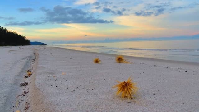 Pantai Tambak - Image 1