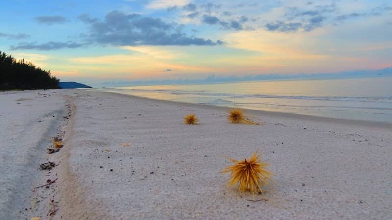 Pantai Tambak - Image 1