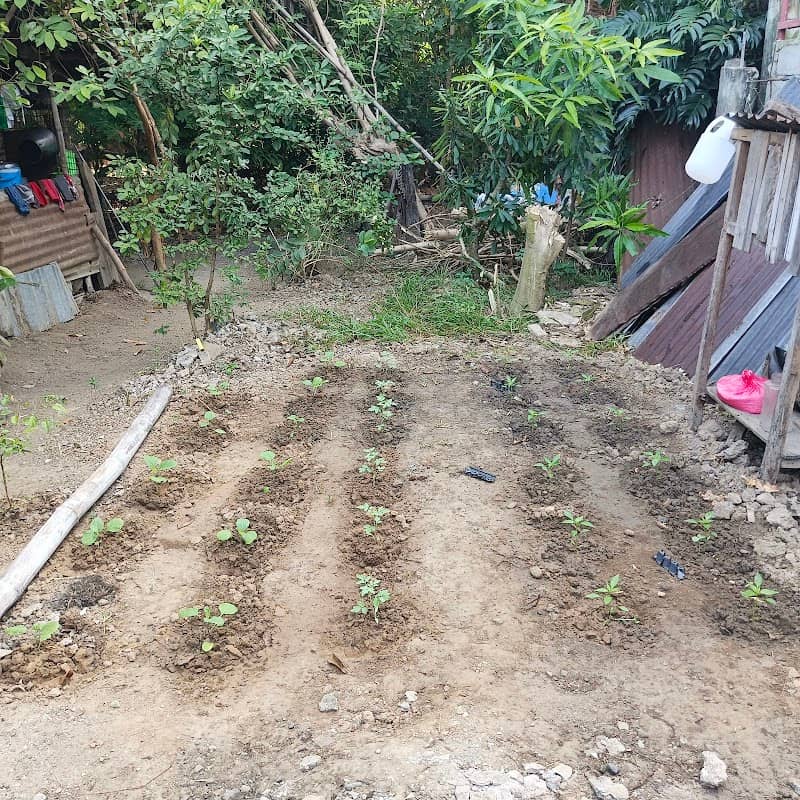 Bahay ni Lexer - Image 1