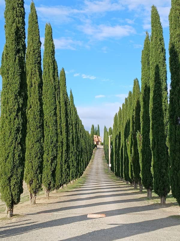 Orcia view point - Image 1