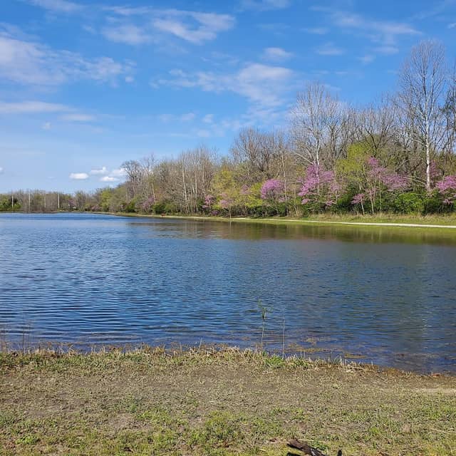 Upper Fall Creek Loop Trail - Image 2