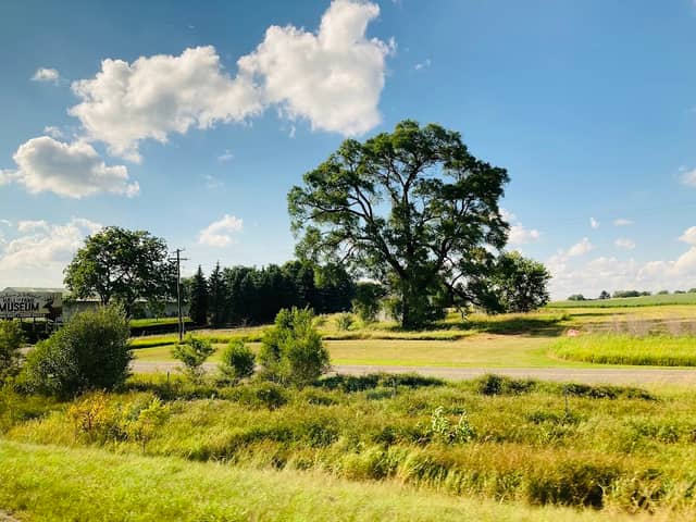 Allen Park - Image 1
