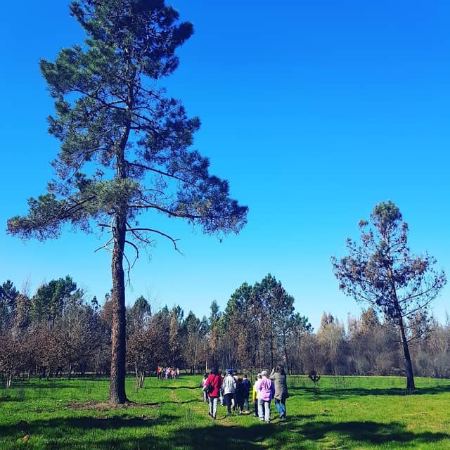 Parque Verde de Poiares - Image 1