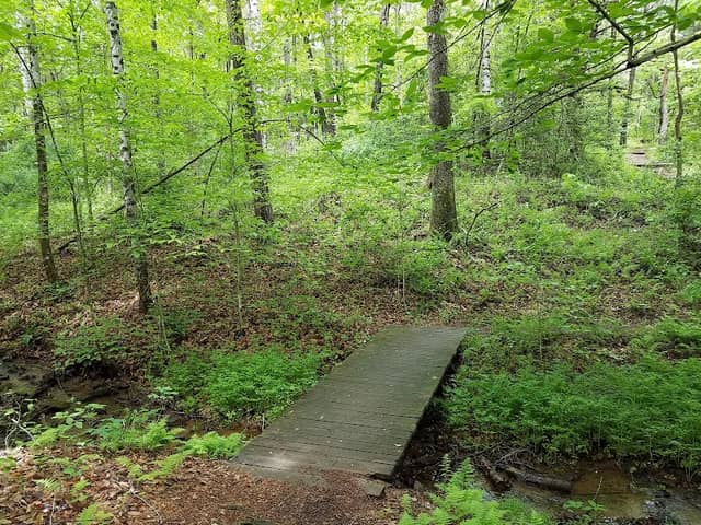 Ivy Creek Foundation - Image 1