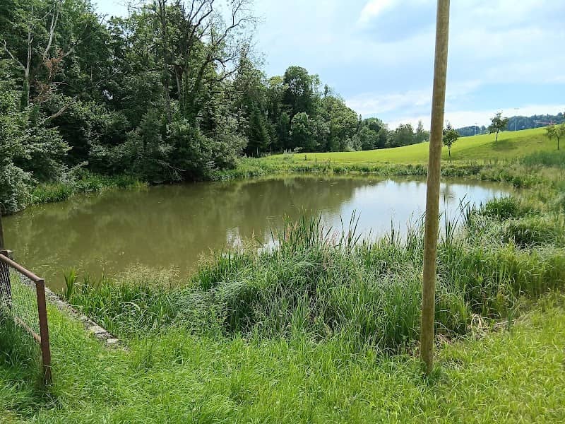 Moosmühleweiher - Image 1