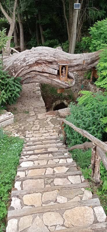 Sorgente delle acque - Image 1