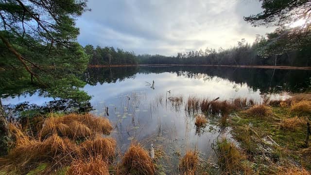 Vildmarksleden Västra Stentjärnarna - Image 1