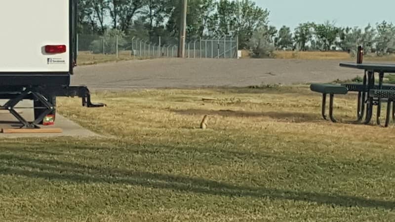 Bud Ebert Park - Image 2