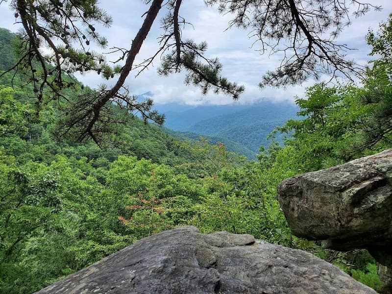 White Rock Cliffs - Image 1