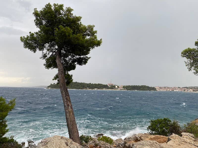 Viewpoint - Image 2