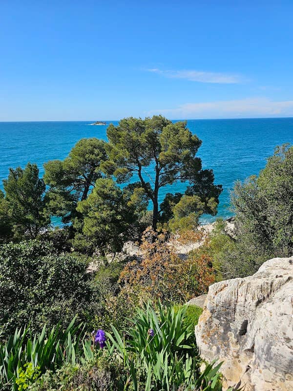 Viewpoint - Image 1