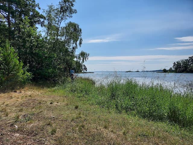 Lövö Grenar grillplats - Image 1