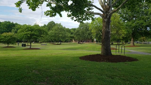Town Common - Image 3