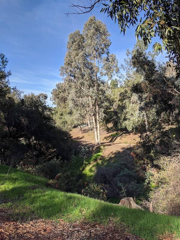 Murphy Ranch Park - Image 5