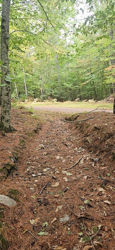 Scribner-Fellows State Forest - Image 1