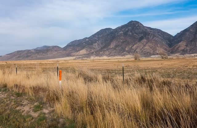 Mt. Nebo Pioneer Park - Image 1