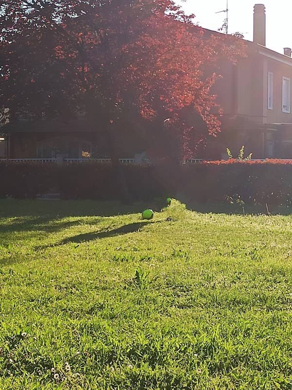 Parco Padre Marcolini - Image 1