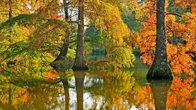 Parc du château de Cheverny - Image 1