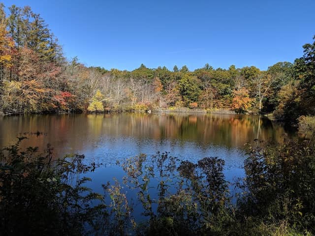 Frenchtown Park and Frye Nature Preserve - Image 1