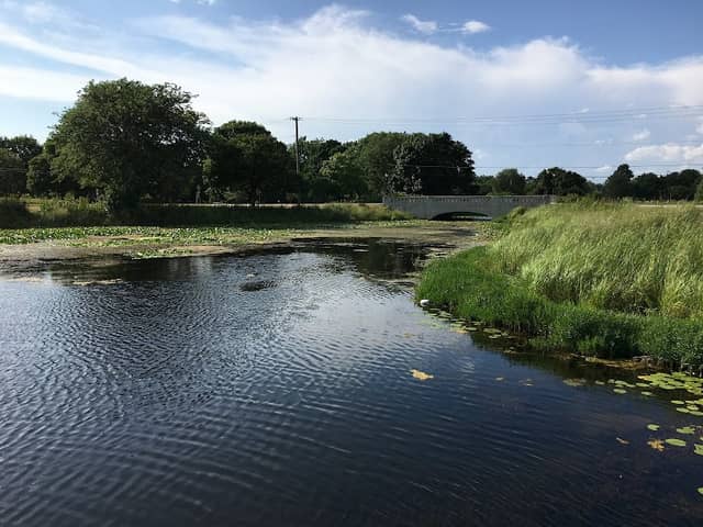 Butler Lake - Image 2