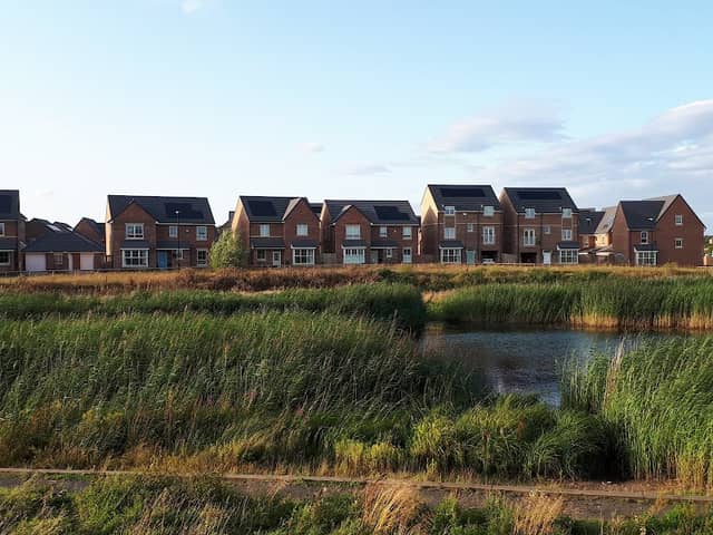 Elba Park - Image 1