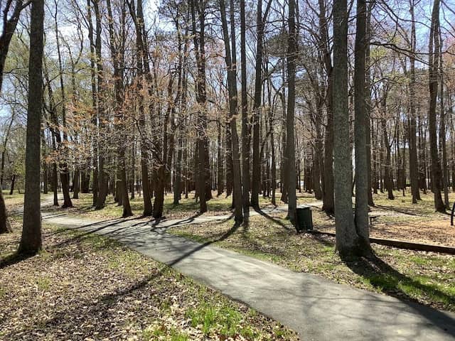 Dunedin Park - Image 1
