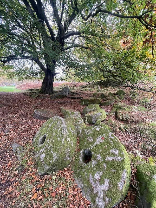 Lawrencefield - Image 2