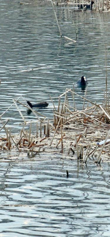 Birdwatching Hot spot - Image 1