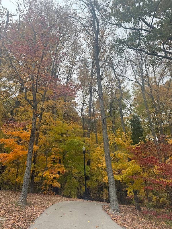 Vastwood Park - Image 2