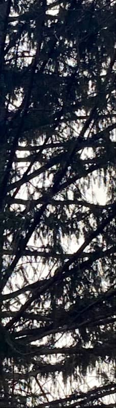 Lindinwood park - Image 2