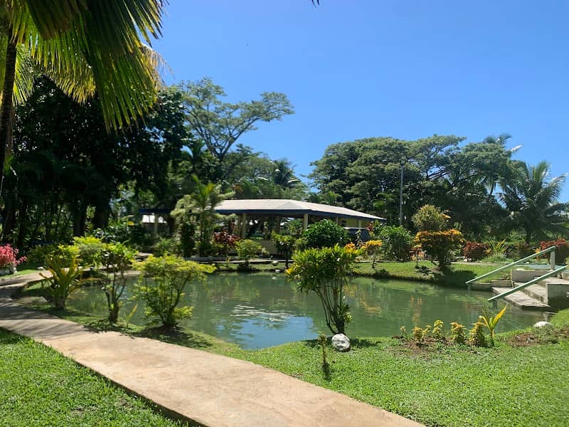 Sabeto Hotspring Mudpool Fiji & Tours - Image 1