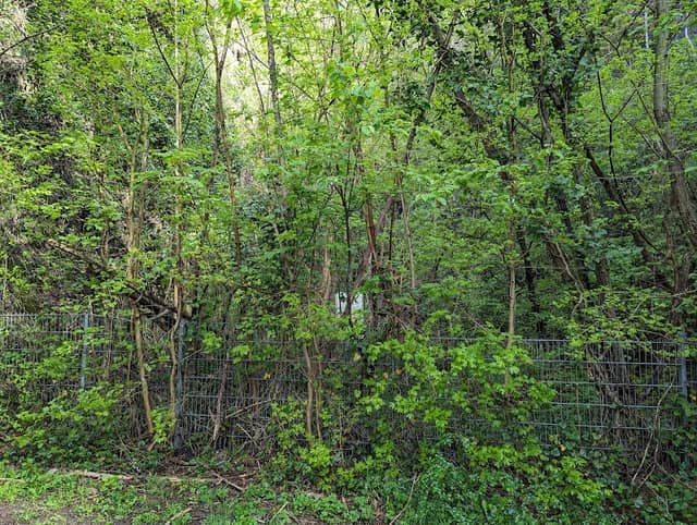 Naturschutz Denkmal Höhle - Image 1