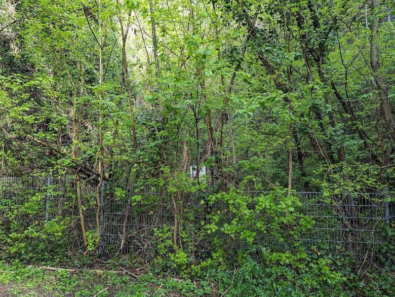 Naturschutz Denkmal Höhle - Image 1