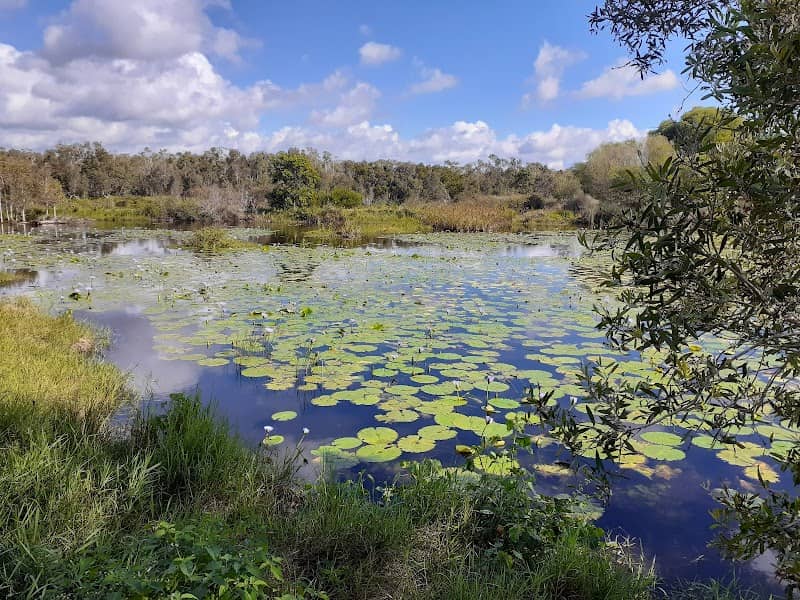 Byron Wetlands - Image 1