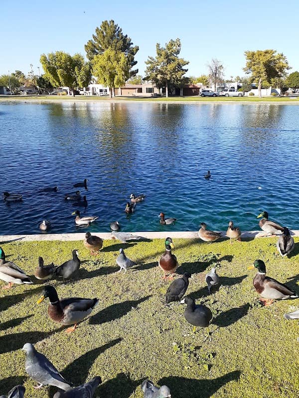 Tierra Verde Lake Park - Image 2