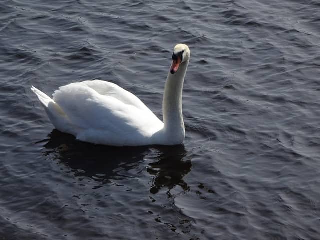 South Calder Water - Image 2