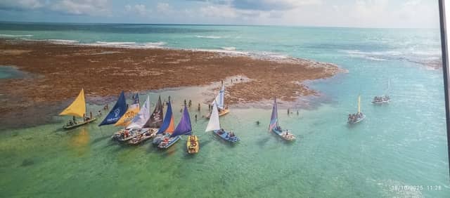 praia de porto de galinhas - Image 1