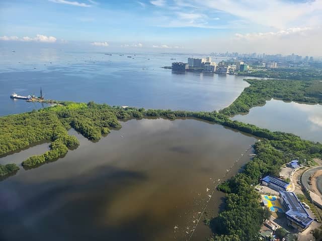 Las Piñas-Parañaque Wetland Park - Image 1