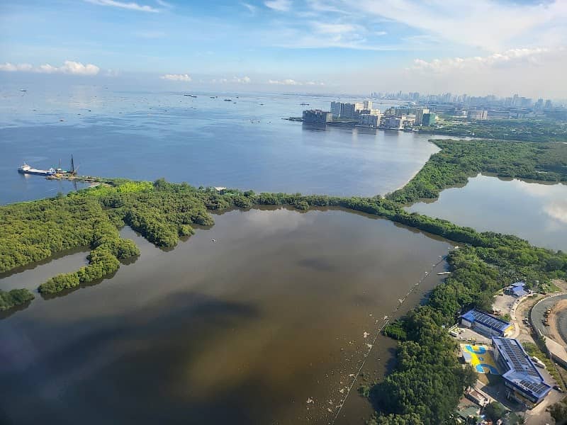 Las Piñas-Parañaque Wetland Park - Image 1