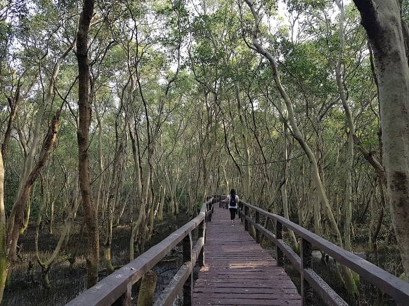 Las Piñas-Parañaque Wetland Park - Image 3