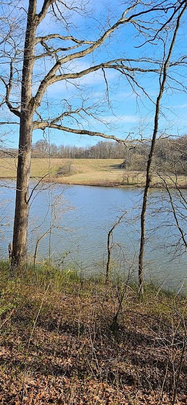 Rock Mill Lake - Image 2