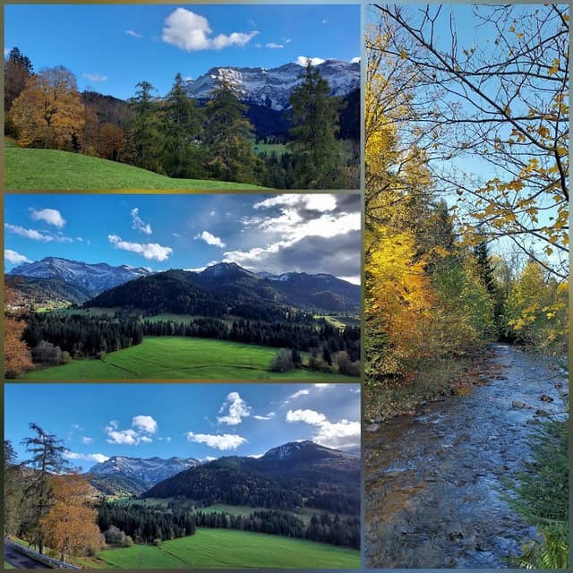 Pro Eigenthal Schwarzenberg - Image 1