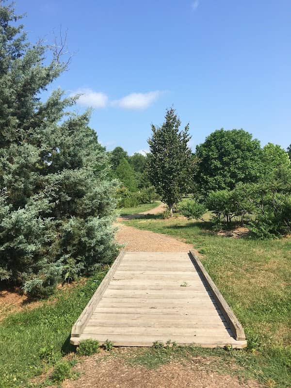 Cossey Botanical Park - Image 2