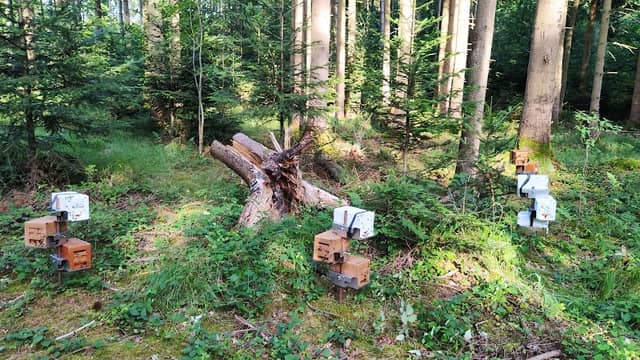 Wanderparkplatz Dampfsäge - Image 1