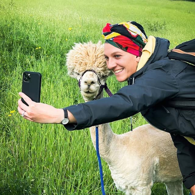 Walks with Alpacas - Image 1