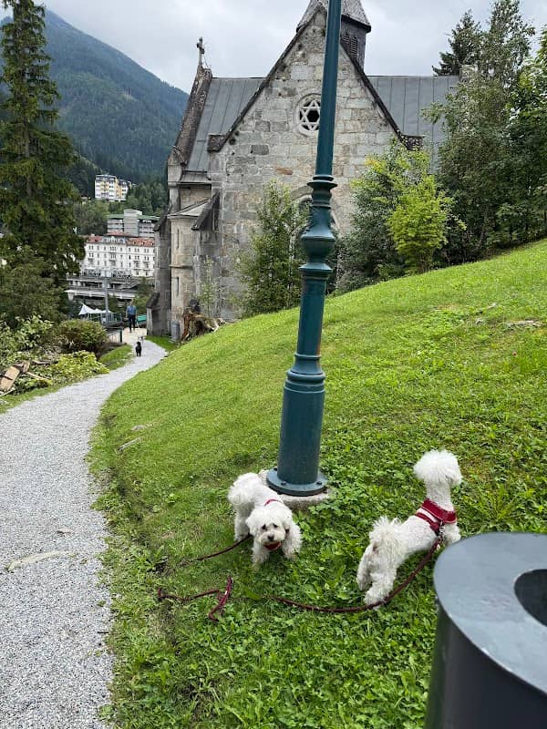 Brunnen W.A Mozart - Image 1