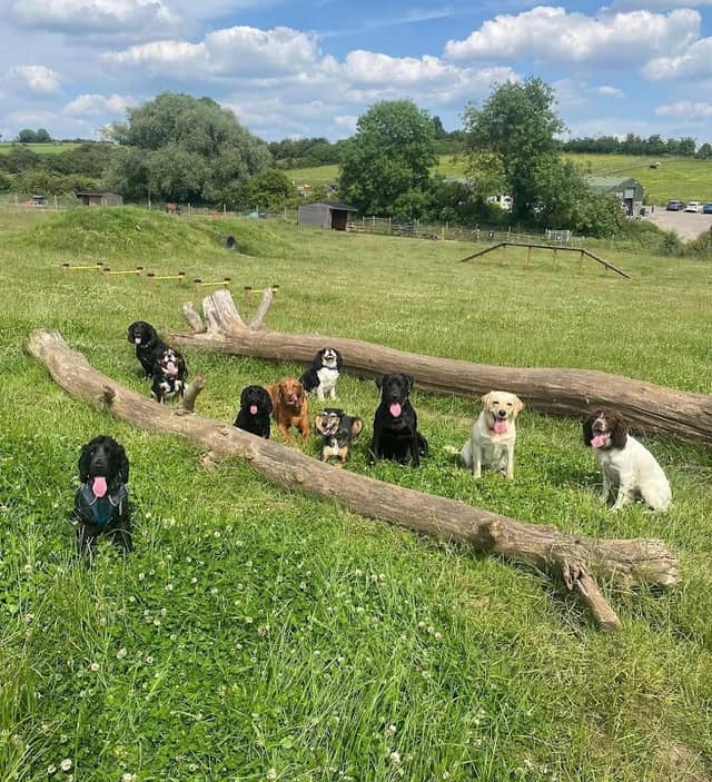 Millside Dog Park - Image 2