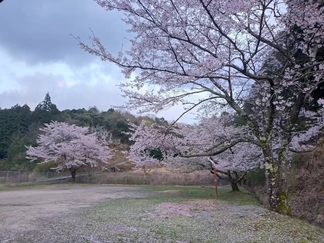 Okumitani Park - Image 1