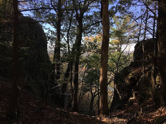 Entrance to Giuffrida Park and Chauncey Peak - Image 1