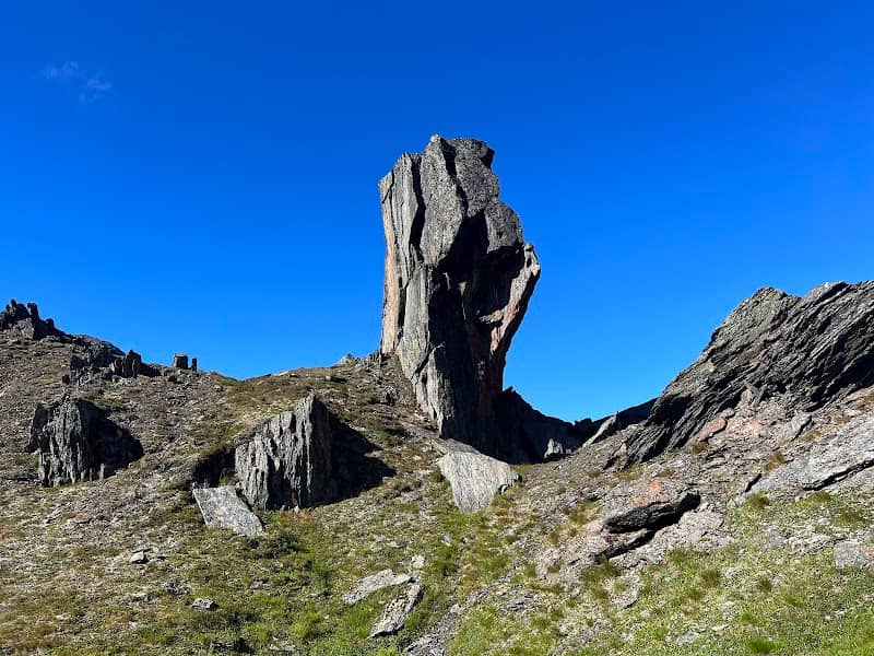 Svensk Fjällsphinx - Image 1